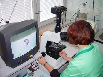 pracownia badan srodowiskowych